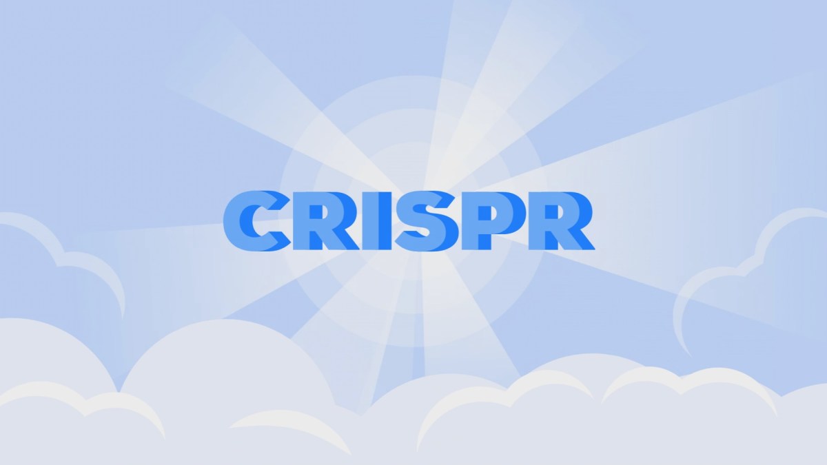 The True Power of&nbsp;CRISPR